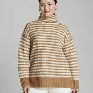 🆕 EVERLANE The Cloud Oversized Merino Wool/Alpaca Turtleneck